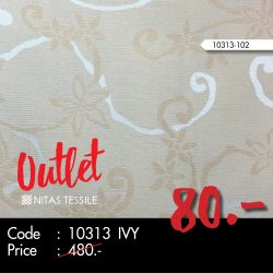 Outlet 10313