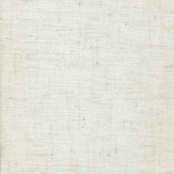 90026 CHAMPAGNE