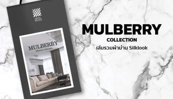 MULBERRY Collection