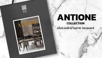 ANTOINE Collection