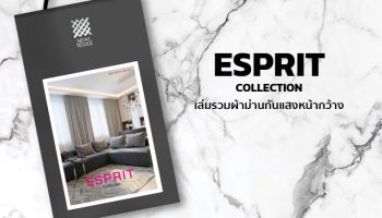 ESPRIT Collection