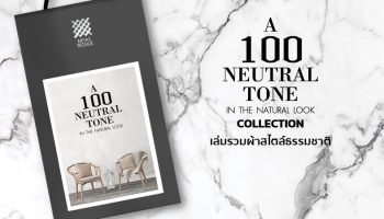 A 100 NEUTRAL TONE Collection