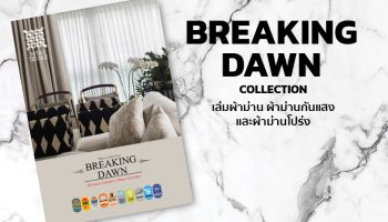 BREAKING DAWN Collection