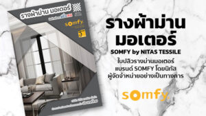 SOMFY Motorised Curtain