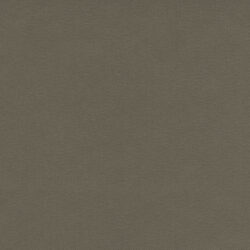 80051 THE MOON FALL