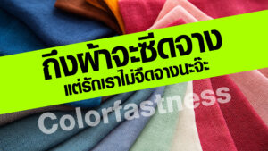 Colorfastness ผ้าสีซีด ผ้าสีจาง