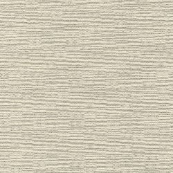 80060 DENTE
