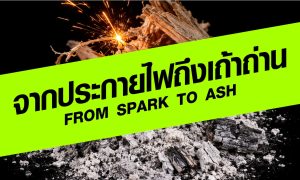จากประกายไฟถึงเถ้าถ่าน