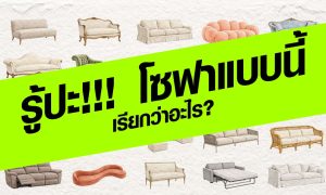 รู้ปะ!!! โซฟาแบบนี้ เรียกว่าอะไร?