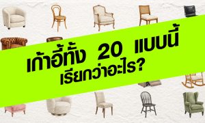 เก้าอี้และเก้าอี้เท้าแขนทั้ง 20 แบบนี้ เรียกว่าอะไร?